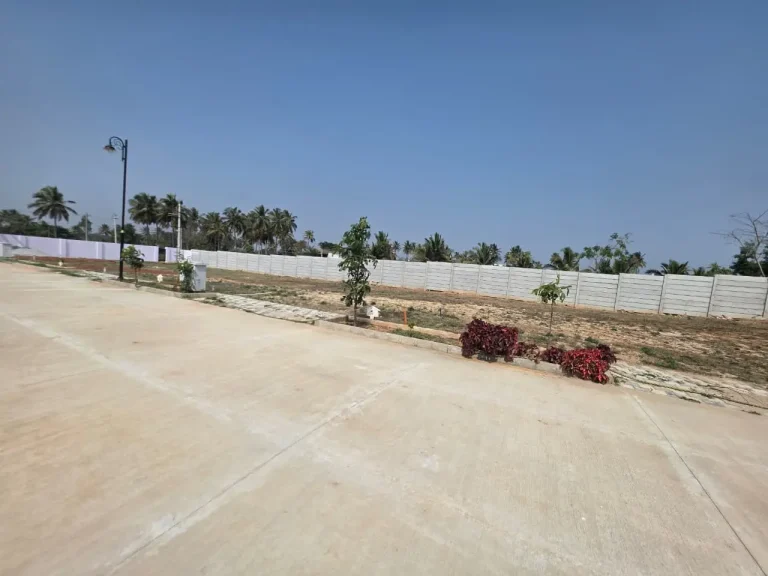 Residential property development with landscaped roadside plants, paved road, boundary wall, palm trees, and decorative street lighting.