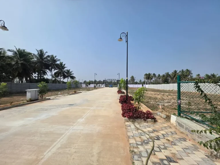Residential property development road with landscaped pathways, palm trees, decorative street lights, and gated plots.