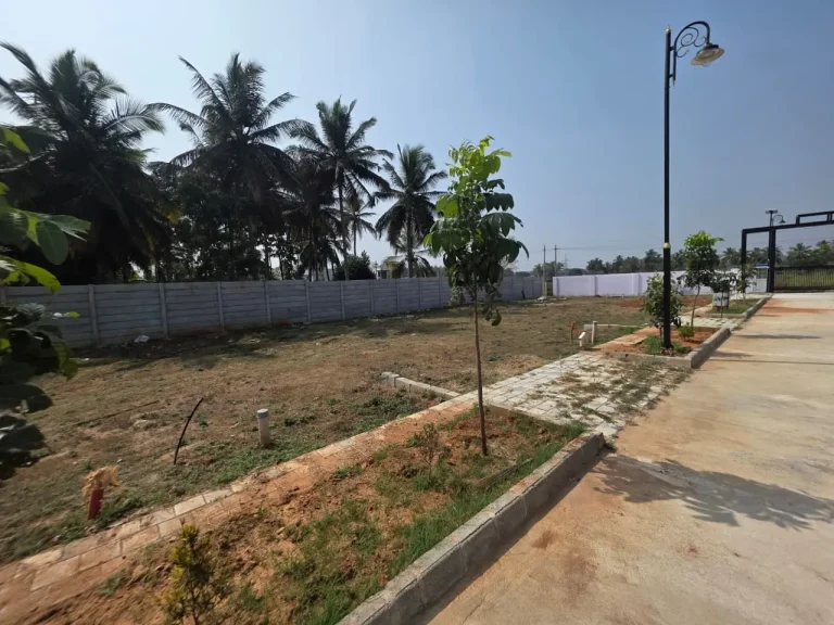 Residential property plot with landscaped pathways, palm trees, boundary wall, and decorative solar street lighting.