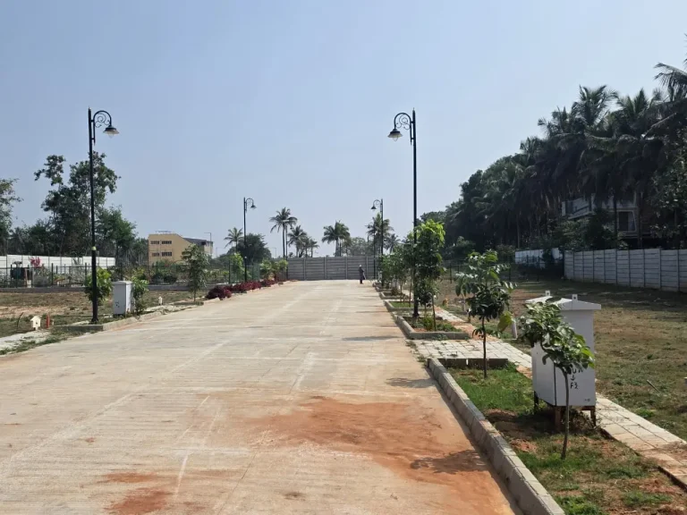 Well-planned residential property road with landscaped greenery, decorative street lights, and palm trees.